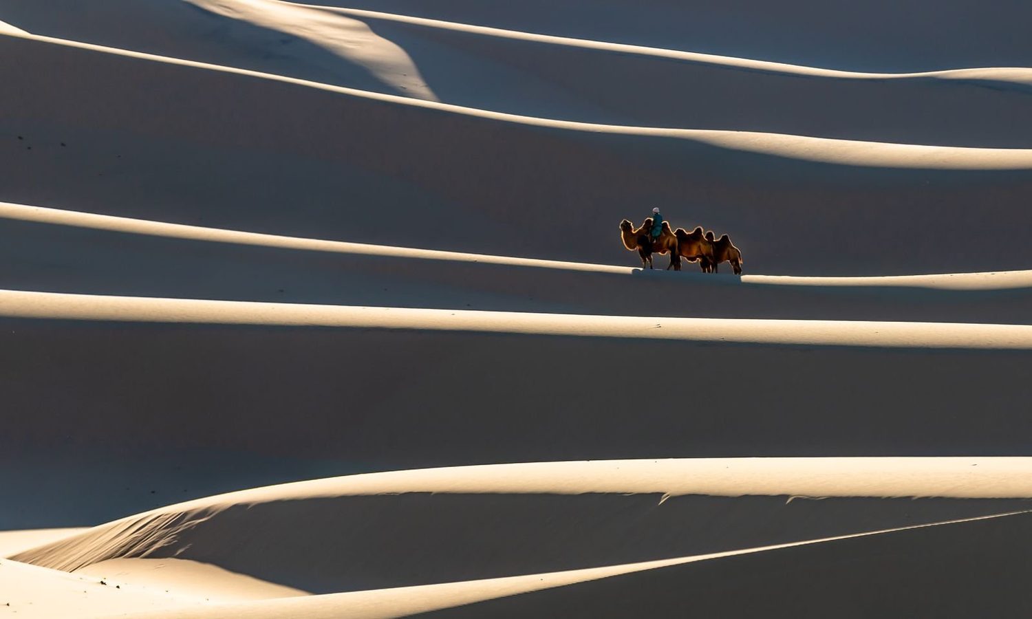 A camel caravan crossing layered sand dune ridges in the Gobi Desert
