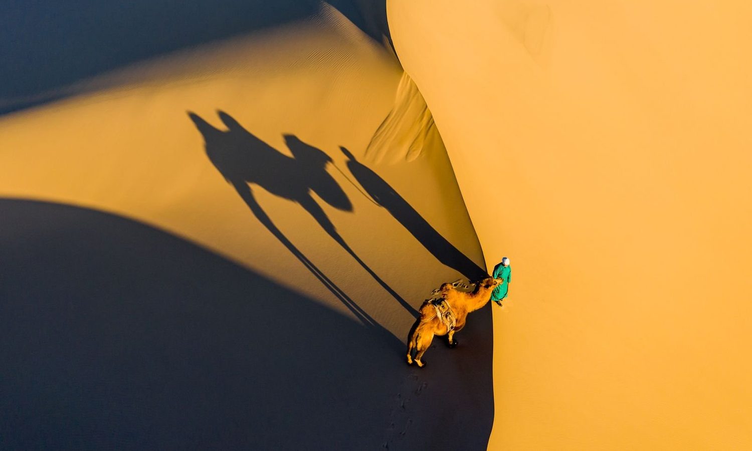 Long shadows of a camel and herder cast across a Gobi sand dune, seen from above