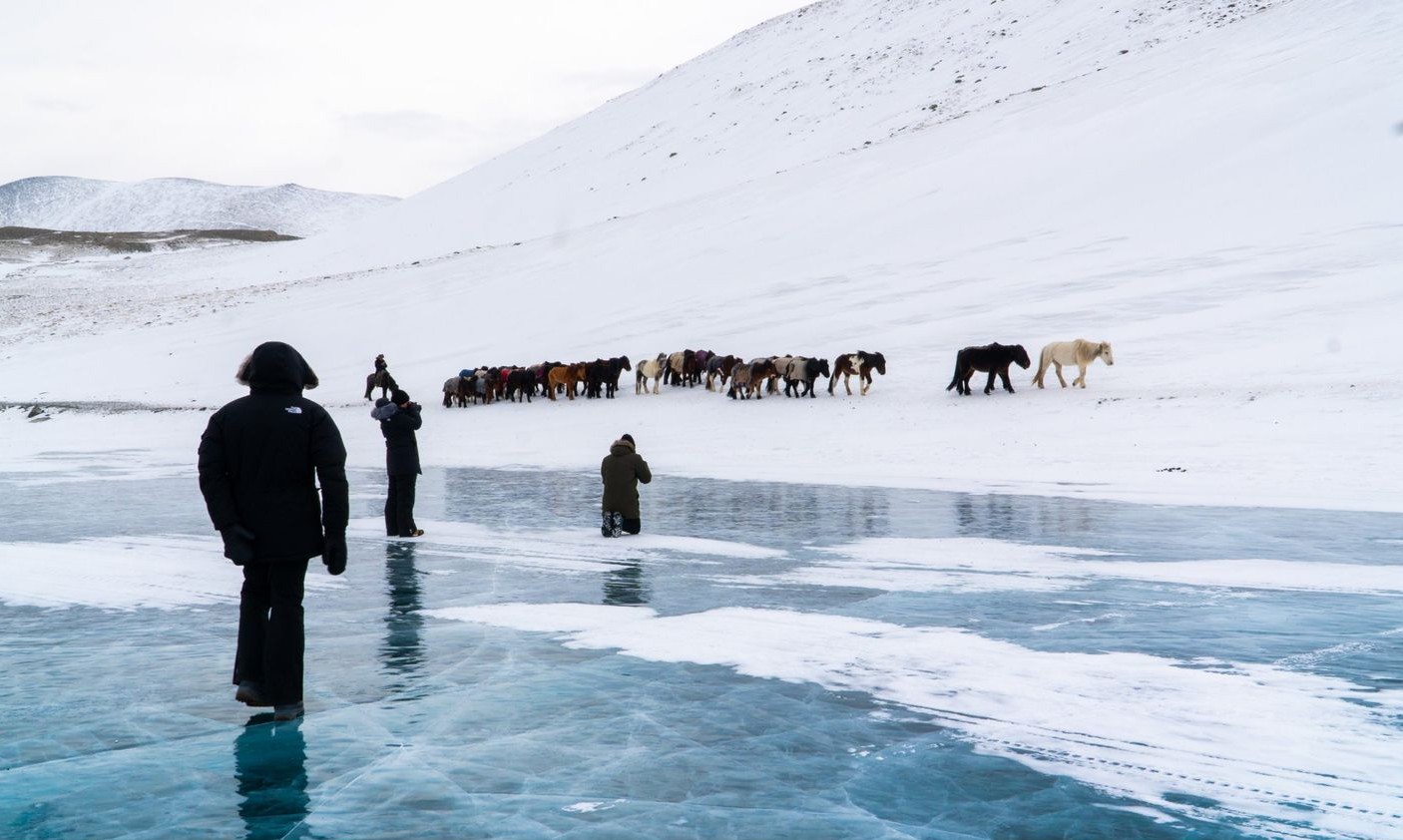 Photography guests on frozen lake ice as a herd of horses passes beneath a snowy hill