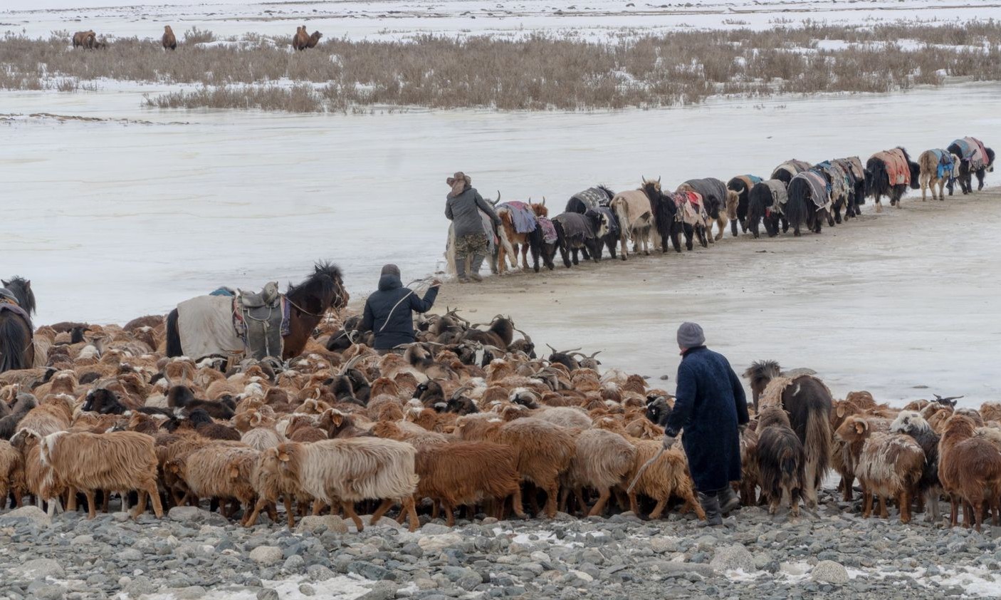Kazakh herders leading a yak caravan across a frozen river during the winter migration